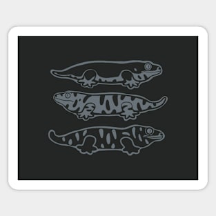 Leachianus Gecko, Leachie. For reptile lovers in gray ink Sticker